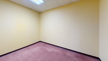 21309096