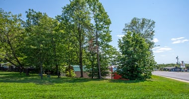 21316101