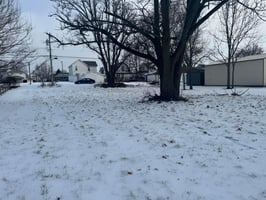 21320538