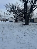 21320540