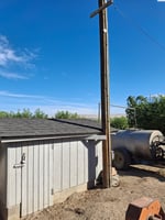 25466116