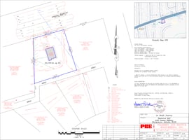 29446895