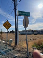 21343544
