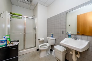 21347981