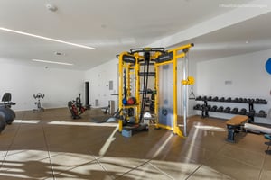21369461