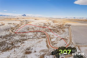 21375162