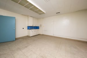 21378681