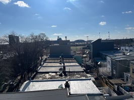 21382858