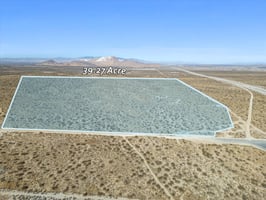21936800