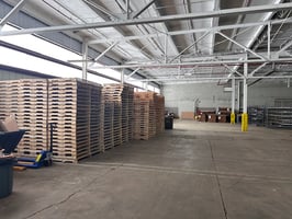 21398511
