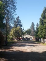 21399586