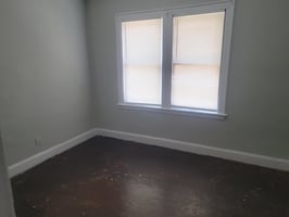 21667411