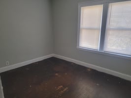 21667410