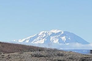 21414283
