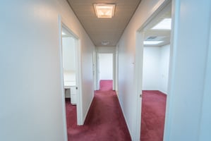 21415571