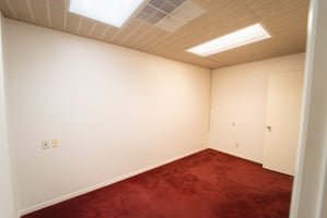 21415594