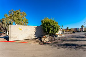 21416848