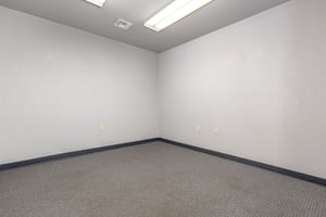21428176