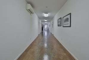 21446923