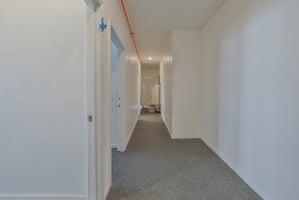 21446881