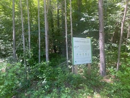 21447323