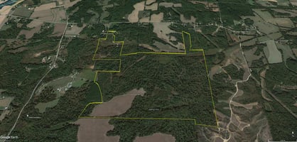 21449389