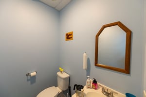 21449919