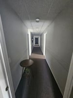 29329502