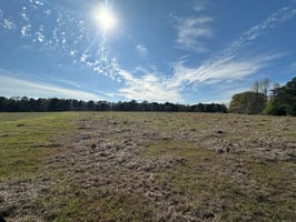 21454632