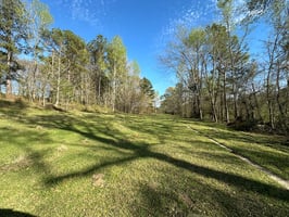 21454650