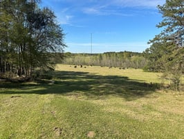 21454639
