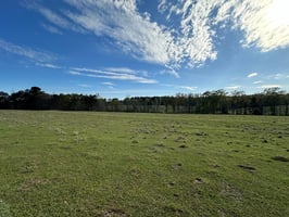 21454664