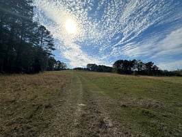 21454638