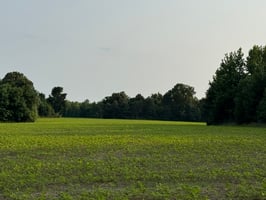 25472045