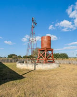 21529987