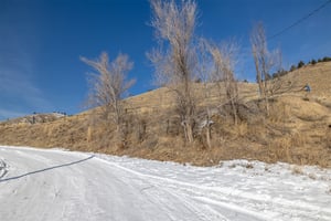 21538306