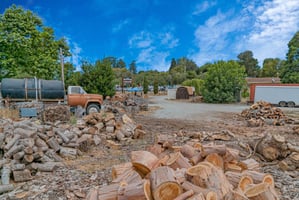 21539849