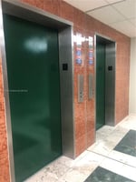 21543826