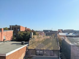 21545304
