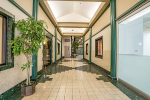21545291