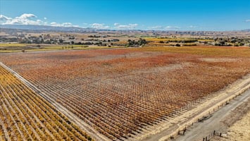 21554829