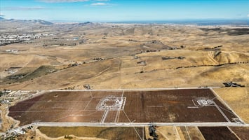 21554839