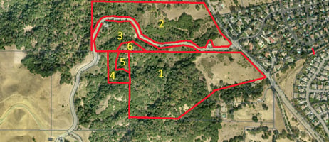 21554909