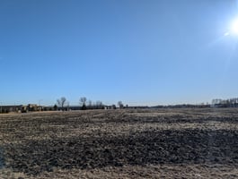 21559464