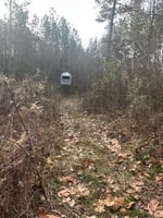 21563781