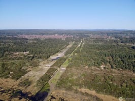 21566253