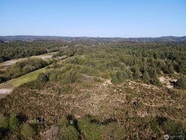 21566261