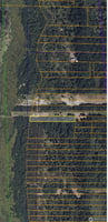 21566251