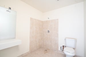 21567097