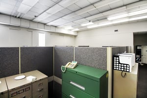 21568412